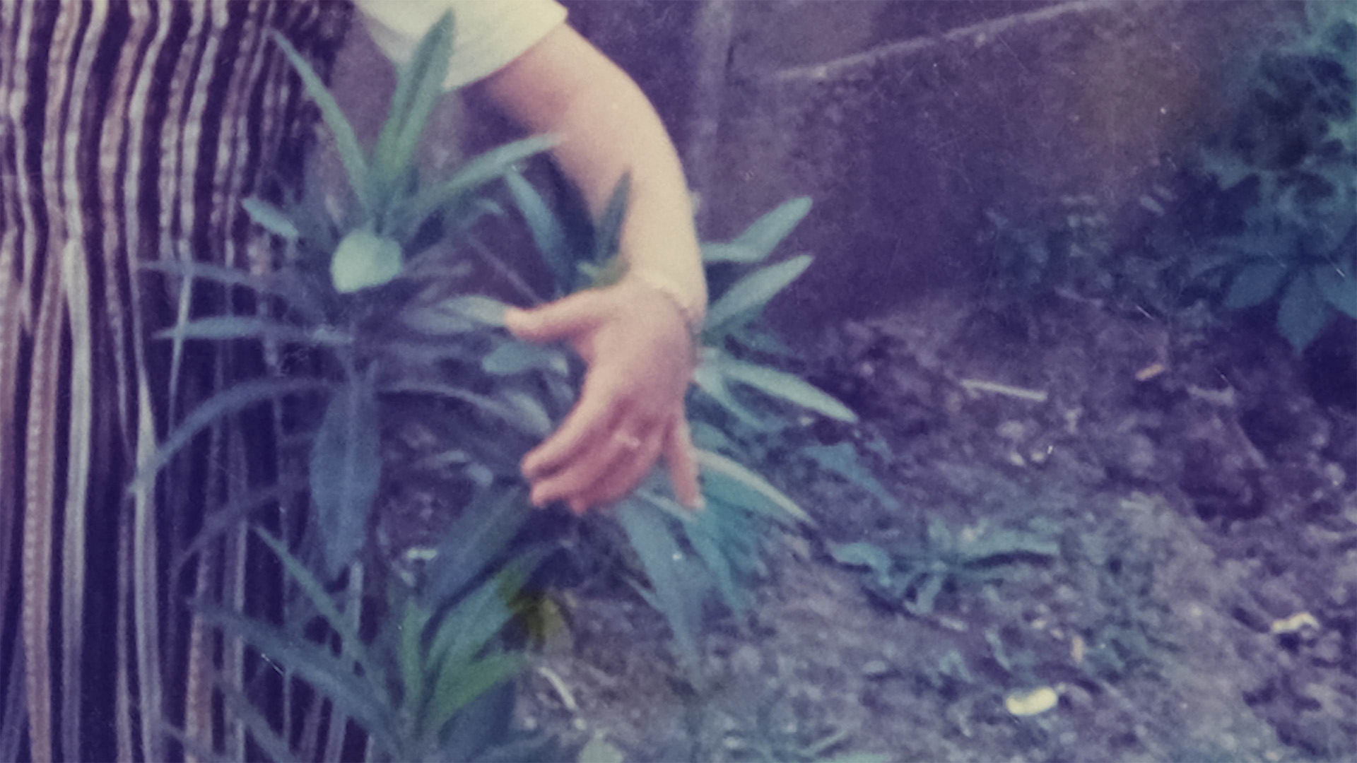 E Blok Daire 5 görsel 3